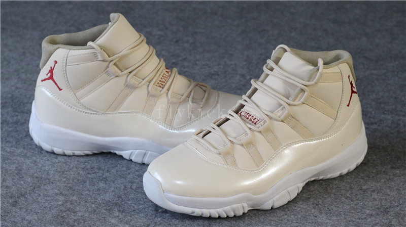 Air Jordan 11 20th Anniversary